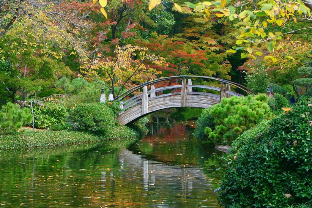 Moon bridge, Japanese garden