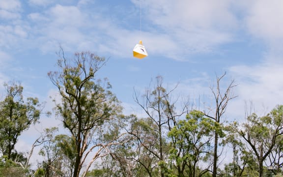 A drone carries a Coles supermarket delivery in Canberra.