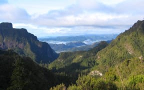 Kauaeranga Valley.