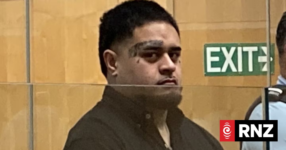 Rereamanu Ronaki-Wihapi named as murderer who twice ran down Taku Manu ...
