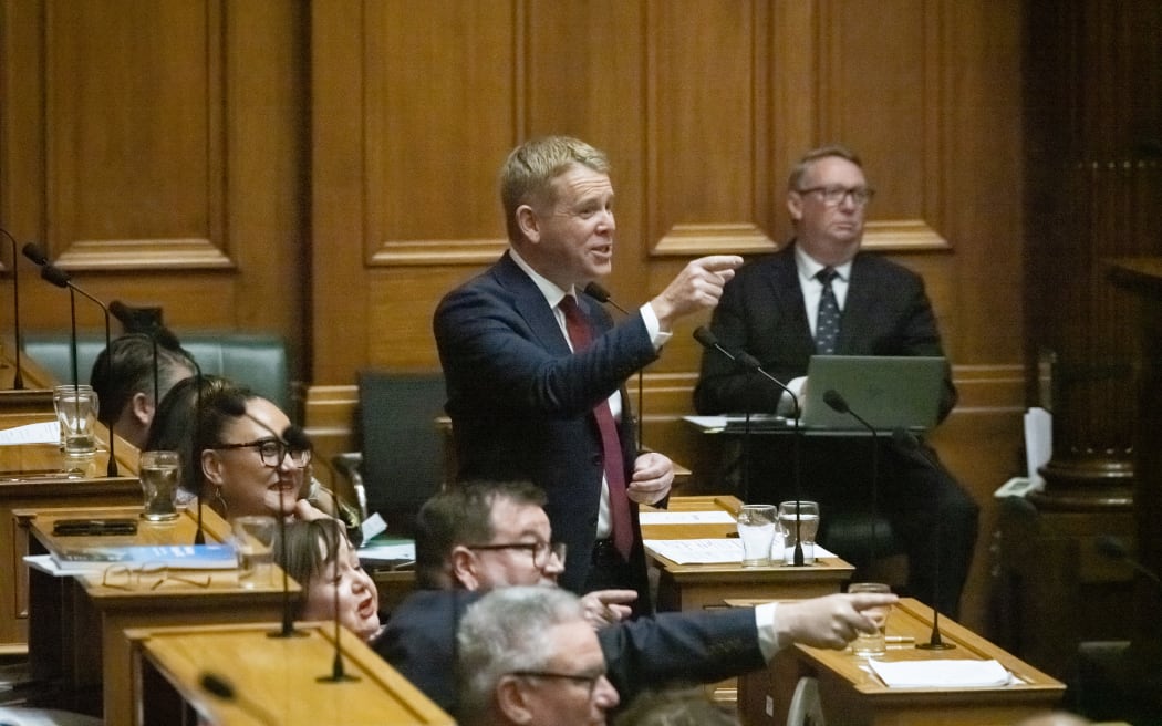 Chris Hipkins and Grant Robertson both point at the ACT Party during the budget debate.
