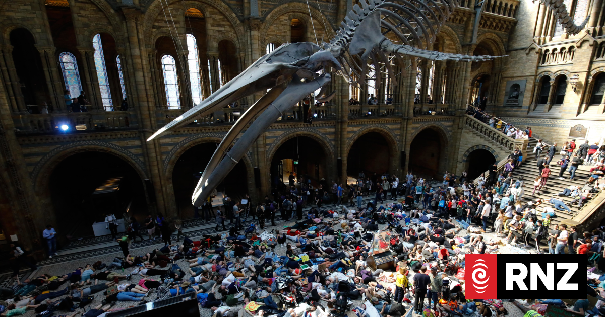 Extinction horizon | RNZ
