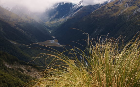 Matukituki valley west branch, mount aspiring national park.