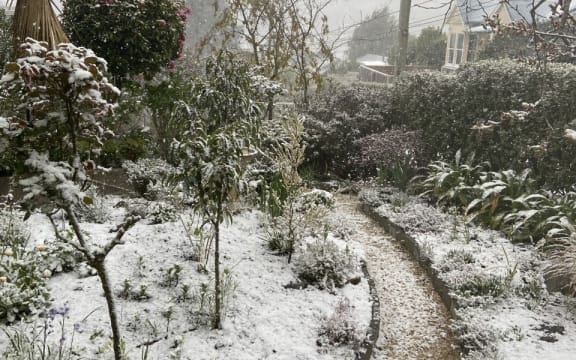 Snow in a Dunedin garden Tuesday 29 September 2020