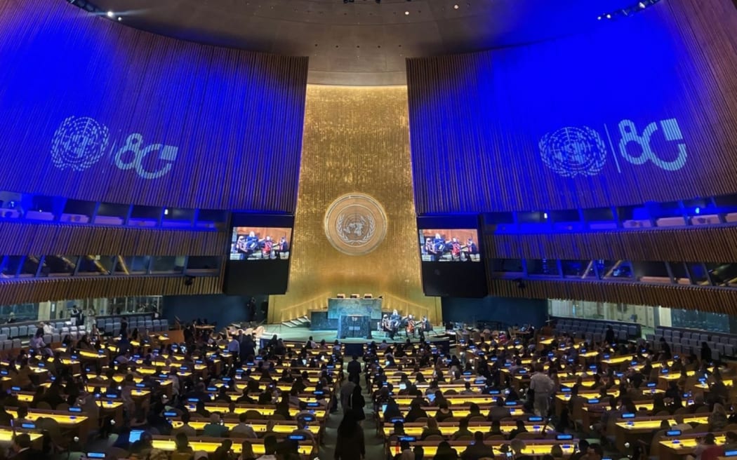 The UN General Assembly in New York. Photo/International Union for Conservation of Nature