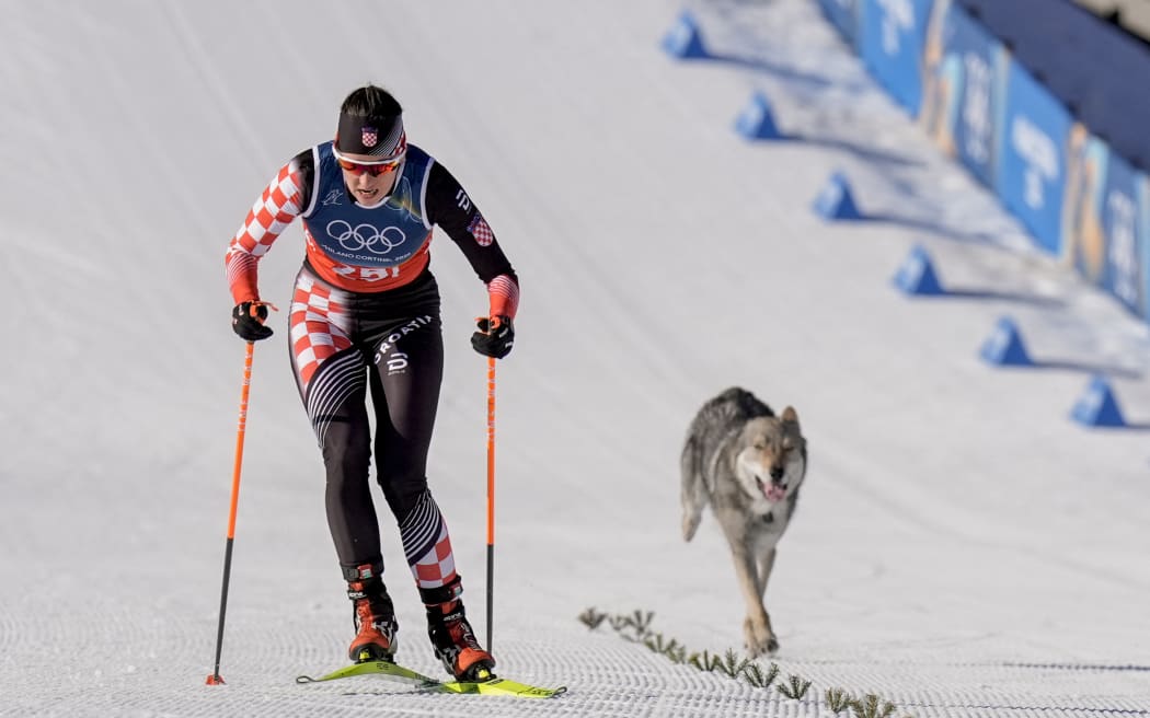 Val di Fiemme, Italy 20260218. 
A dog runs next to Tena Hadzic from Croatia during the cross-country team sprint on Lago di Tesero during the Winter Olympics in Milano Cortina 2026.
Photo: Terje Pedersen / NTB (Photo by TERJE PEDERSEN / NTB via AFP)