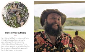 Kenny Rupert (right) is a fungi forager in North Carolina. He is concerned about people using AI to identify mushroom species, often incorrectly.