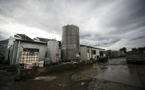 Brighter Future - Dairy. Dairy farming family the Mathieson's, Ewen, Dianne and Melissa talk about the boom and bust of their industry since 2008 and how they got through some of the tougher times. They invested in solar as a result of the boom.