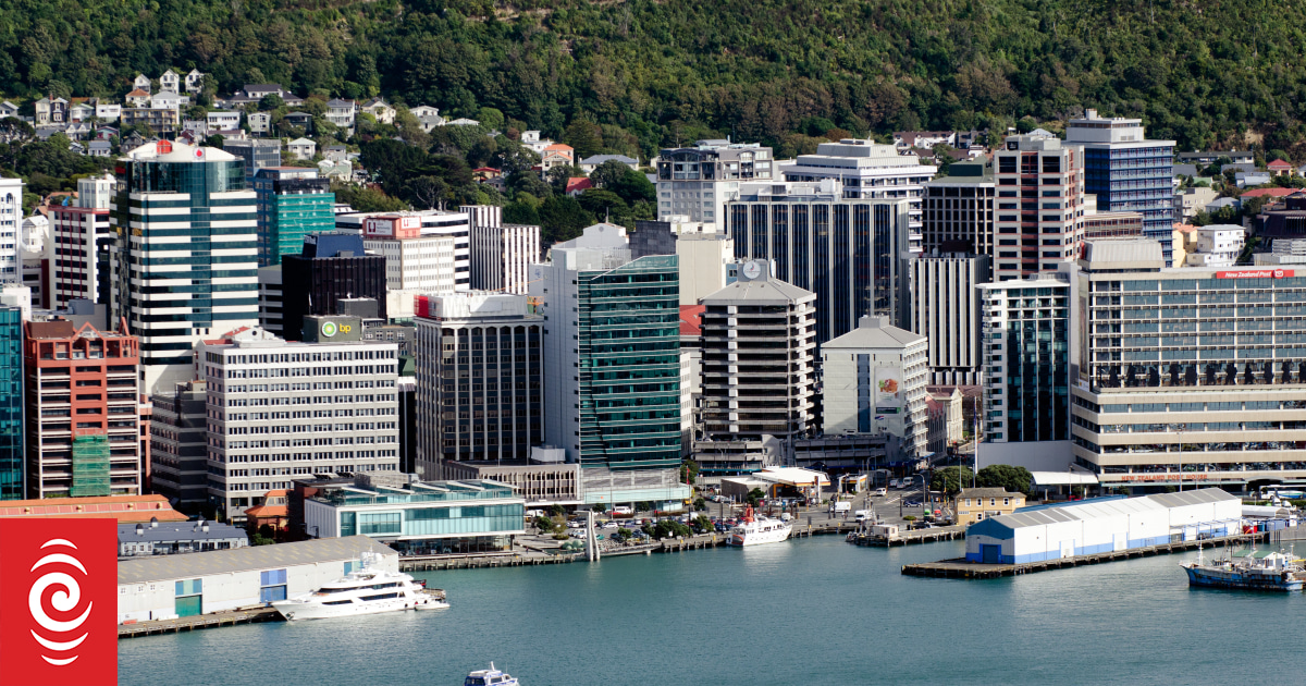 Wellington City Council crown observer report revealed