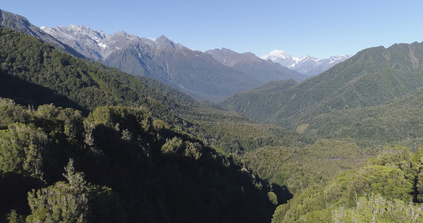 Perth Valley, South Westland