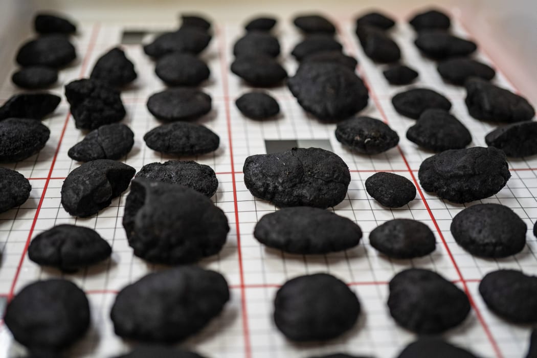 Polymetallic nodules found on the seafloor are known to contain metals such as nickel, copper and cobalt.