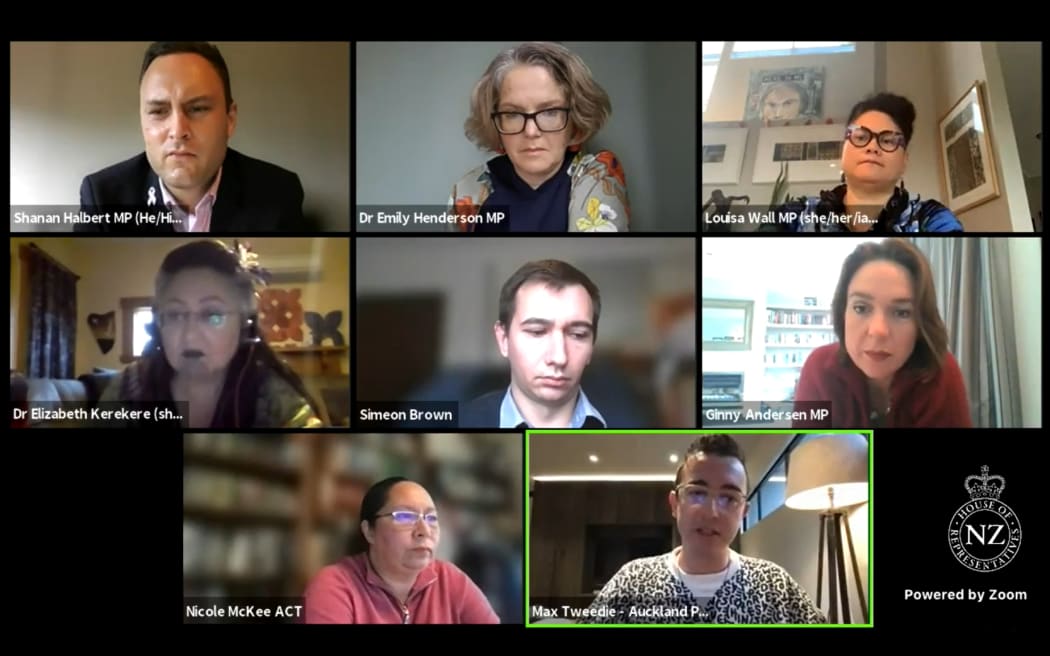 The Justice Select Committee hears a submission from Auckland Pride director Max Tweedie on conversion therapy.