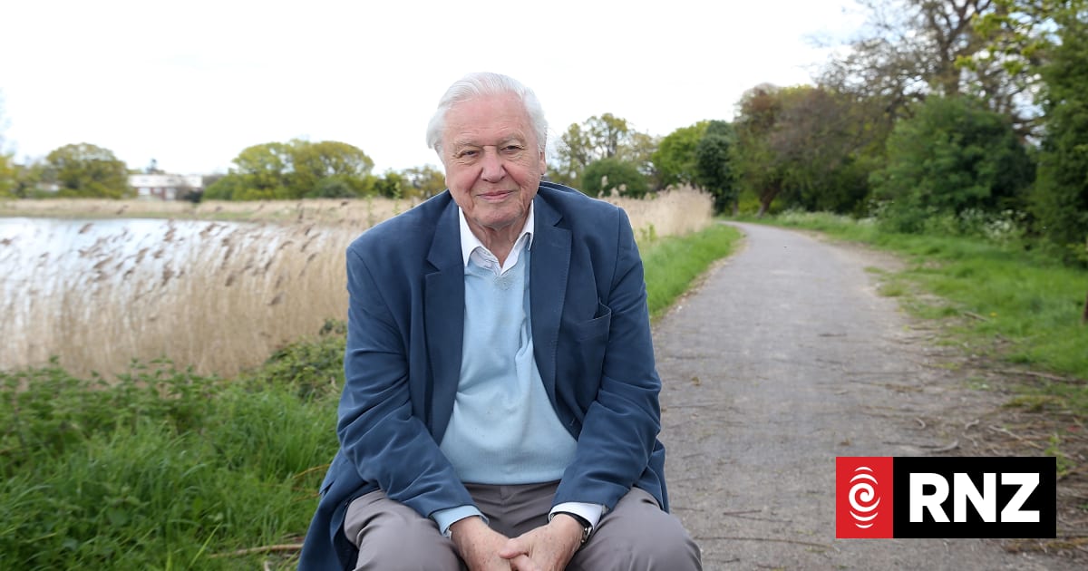 David Attenborough Celebrates Centenary Amid Global Acclaim