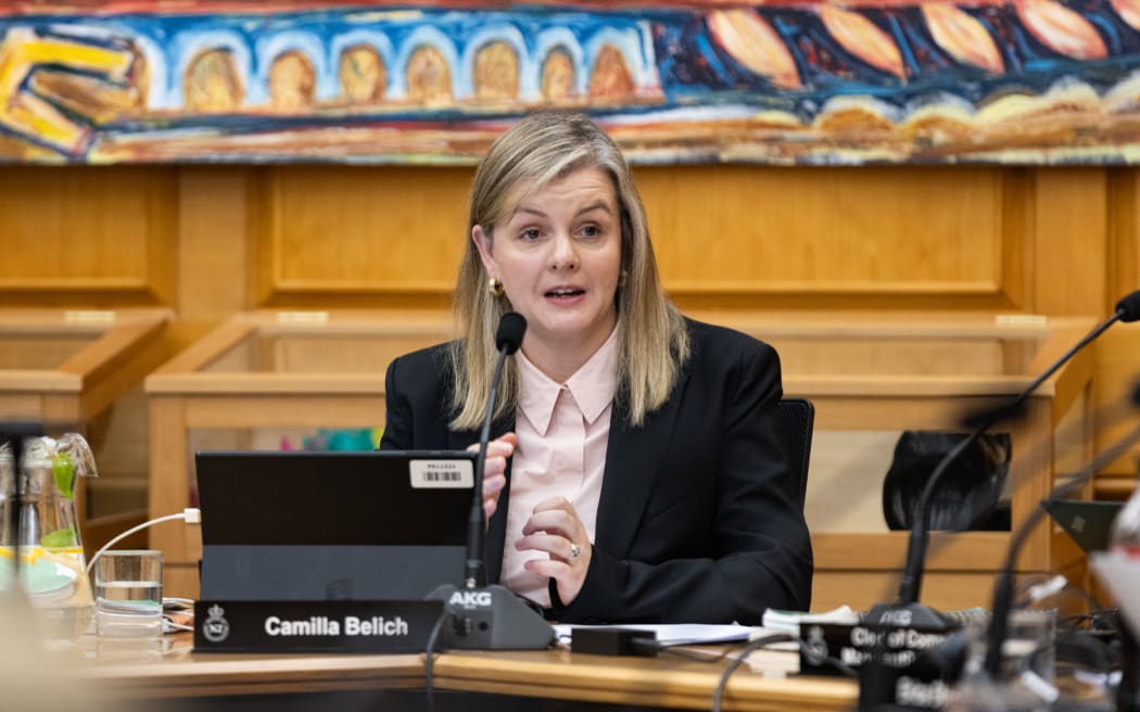 Camilla Belich chairing the Education and Workforce Select Committee.