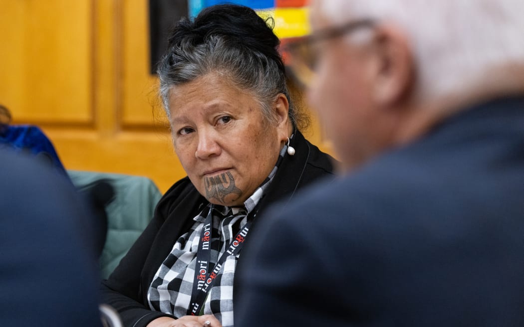 Māori Party MP Mariomeno Kapa-Kingi hears evidence at the select committee.