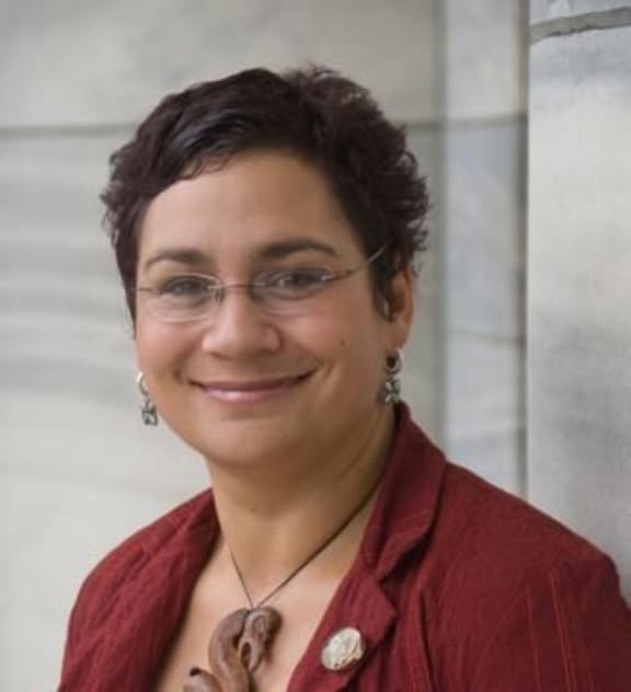Metiria Turei says the Government's scheme should have been in place years ago.