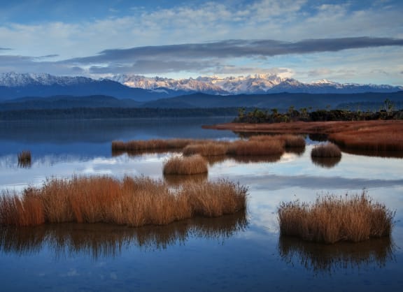 4pnx7i2 gallery image 11928