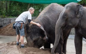 Asian elephants Burma and Anjalee will be moved from Auckland Zoo.