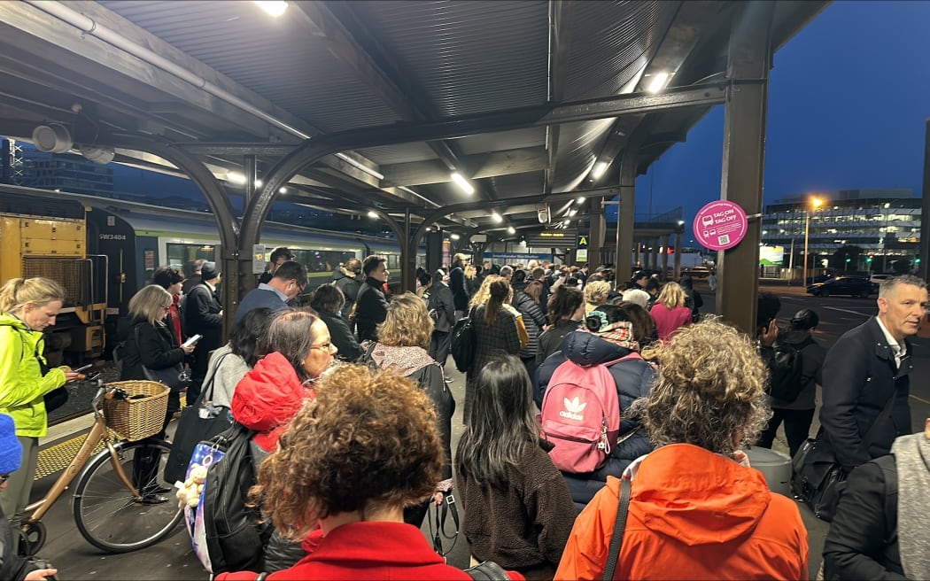 Trains between Wellington and Waikanae have been suspended due to what Metlink is calling an operational incident.