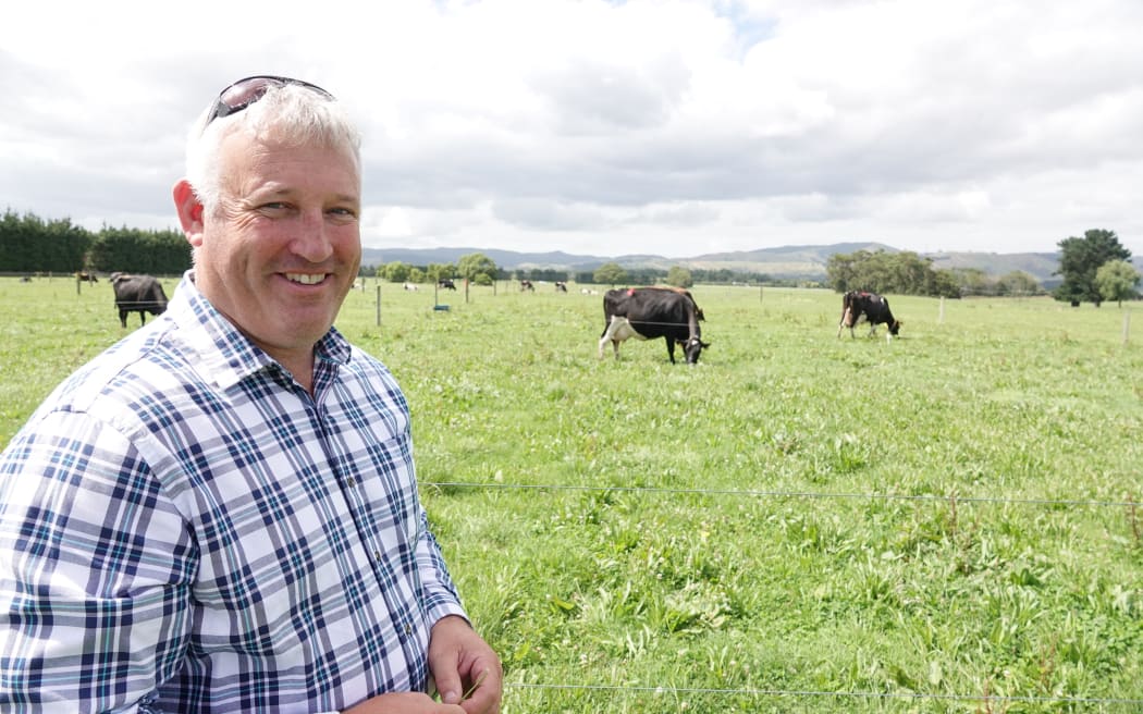 Glenn Judson, from Agricom, says the herb is easy to grow and has no ill-effects on dairy production.