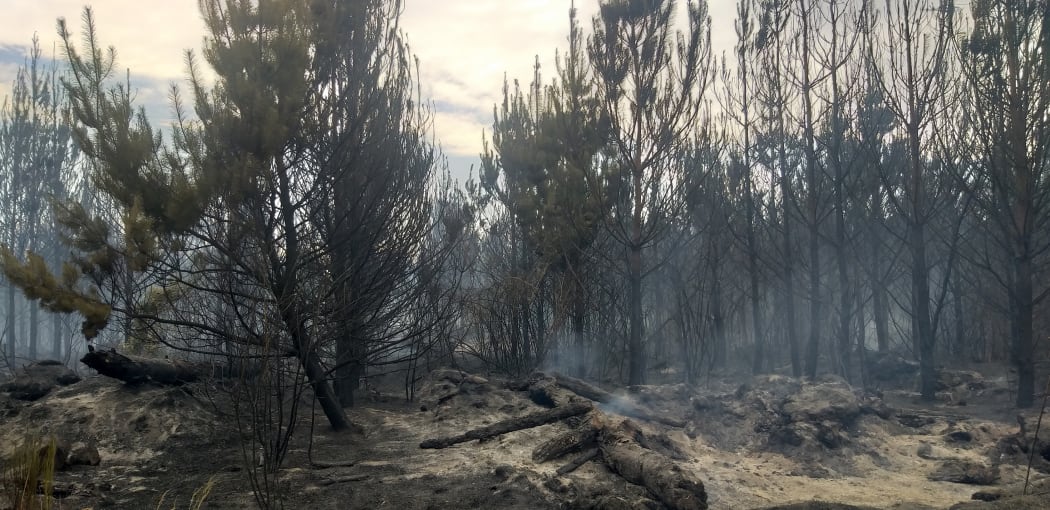 Canterbury fire