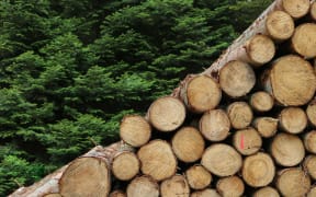 Logs timber wood