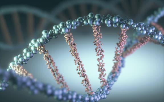 DNA