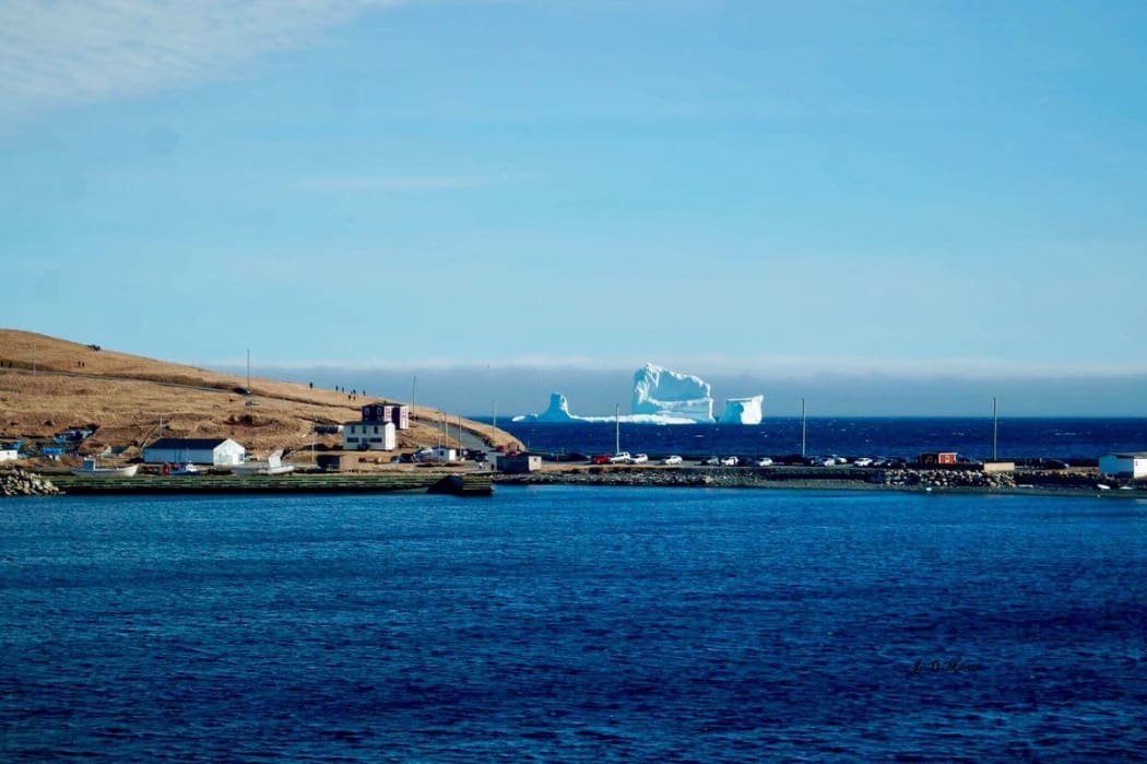 The iceberg looms behind the Newfoundland town of Ferryland