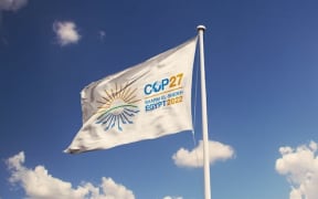 COP 27 Flag