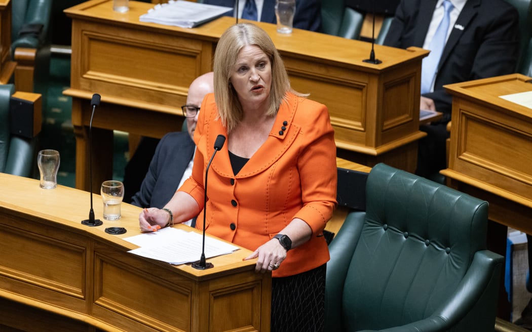 Louise Upston speaks in the first reading debate for the Principles of the Treaty of Waitangi Bill.
