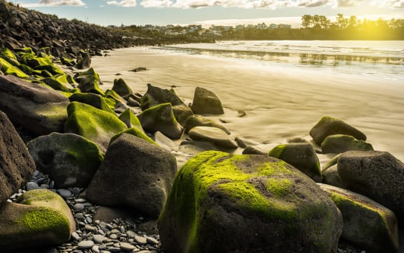 The shore at Caroline Bay, Timaru