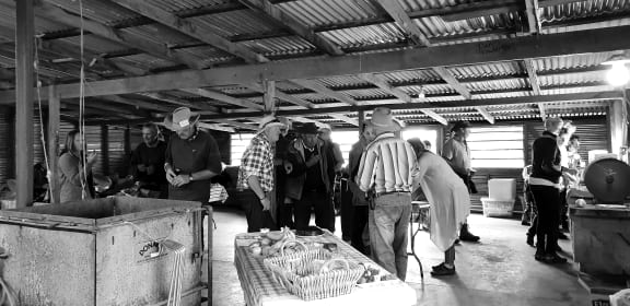 4ncutam gallery image 58811