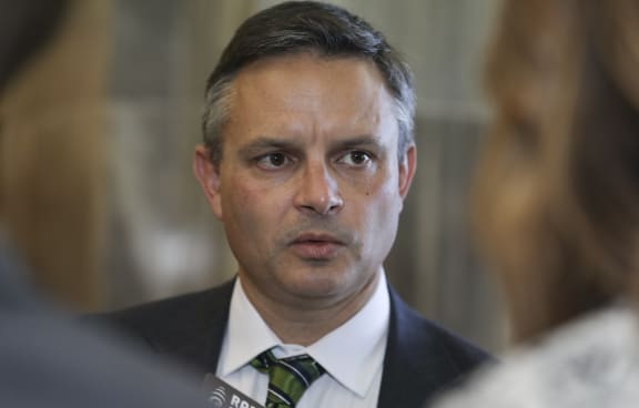 Green Party co-leader and Climate Change Minister James Shaw.