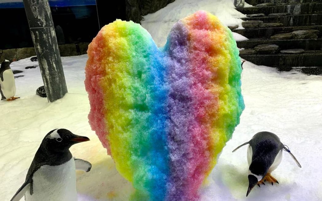 Sphen and Magic were a same-sex gentoo penguin couple.