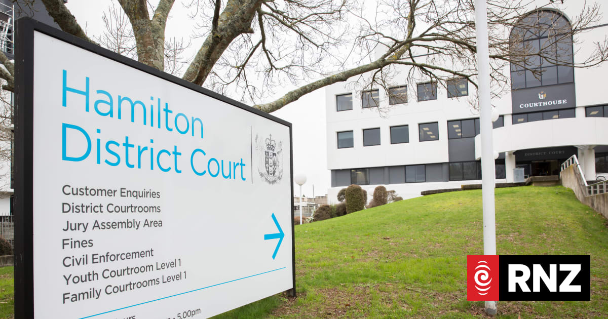 Hamilton arrest fuels critics' concerns over citizen's arrest