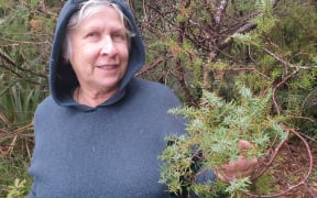 Marlene Busby with the juniper tree she planted in her Egmont Village garden 30 years ago.