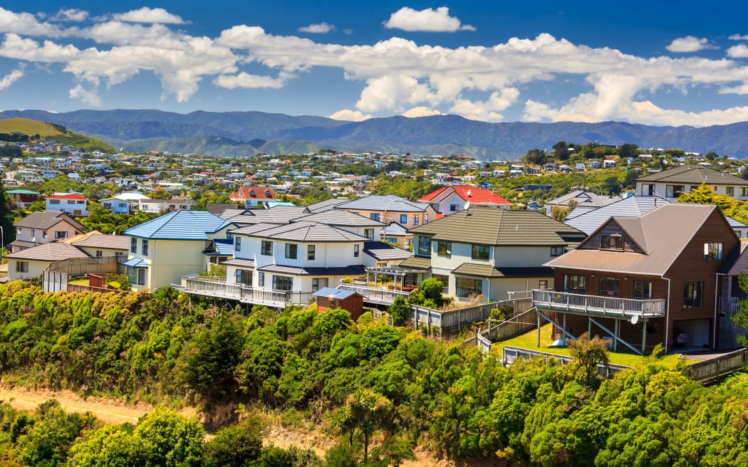 beautiful neigborhood with houses. Location: New Zealand, capital city Wellington