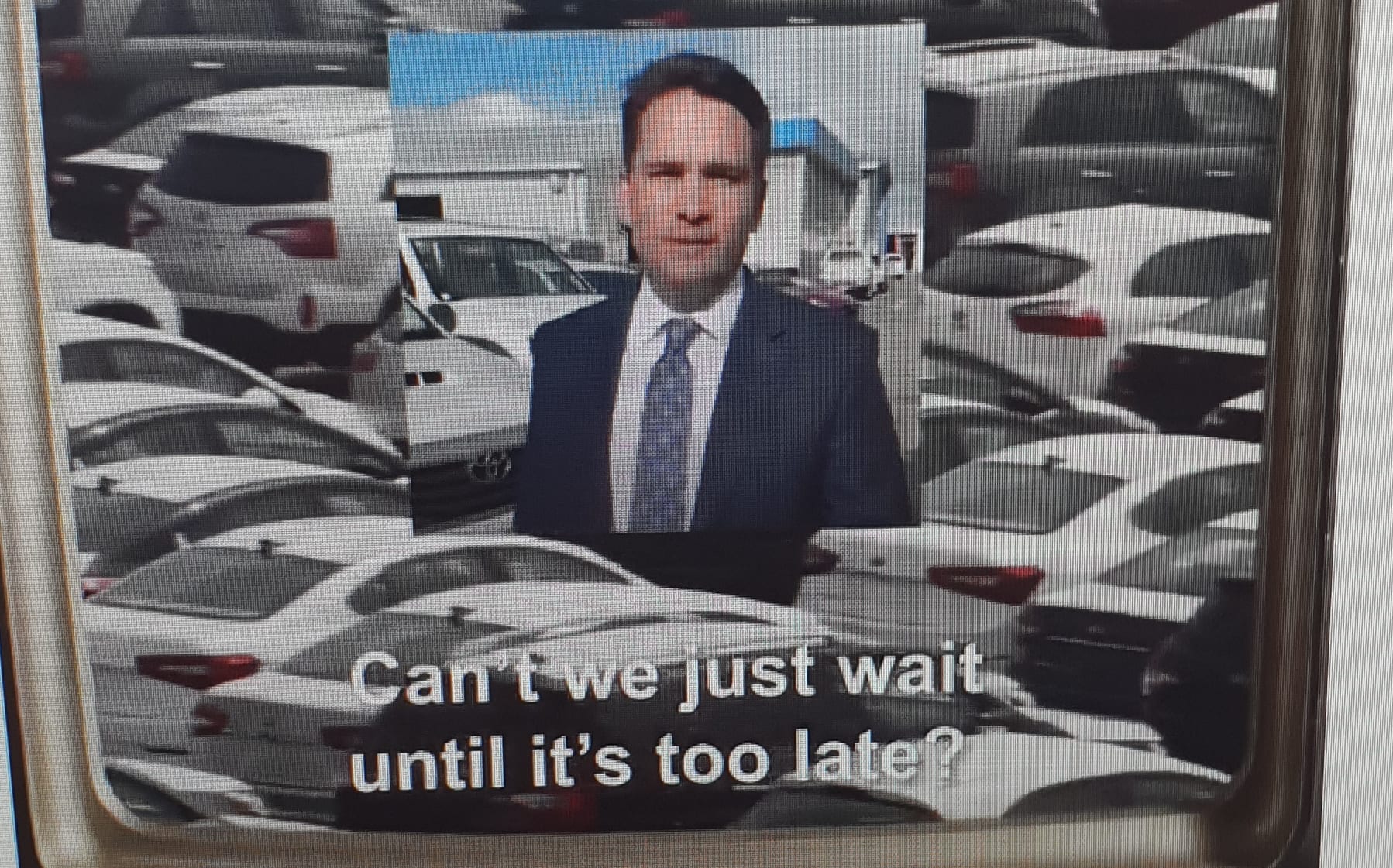 A screenshot from the now-deleted Green Party ad.