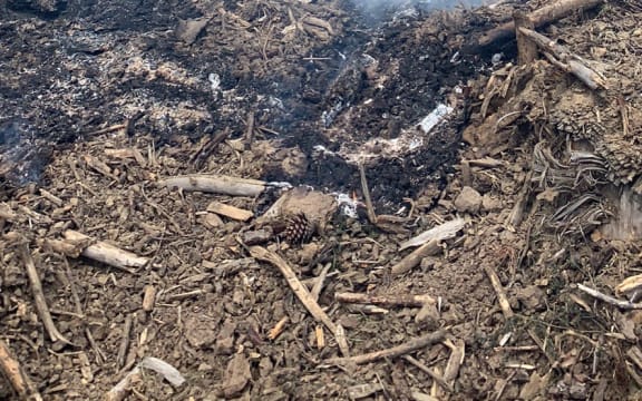 Fire and Emergency crews battle scrub fires in Northland.