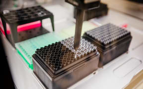 Machine sorts positive Covid-19 samples for genome testing.