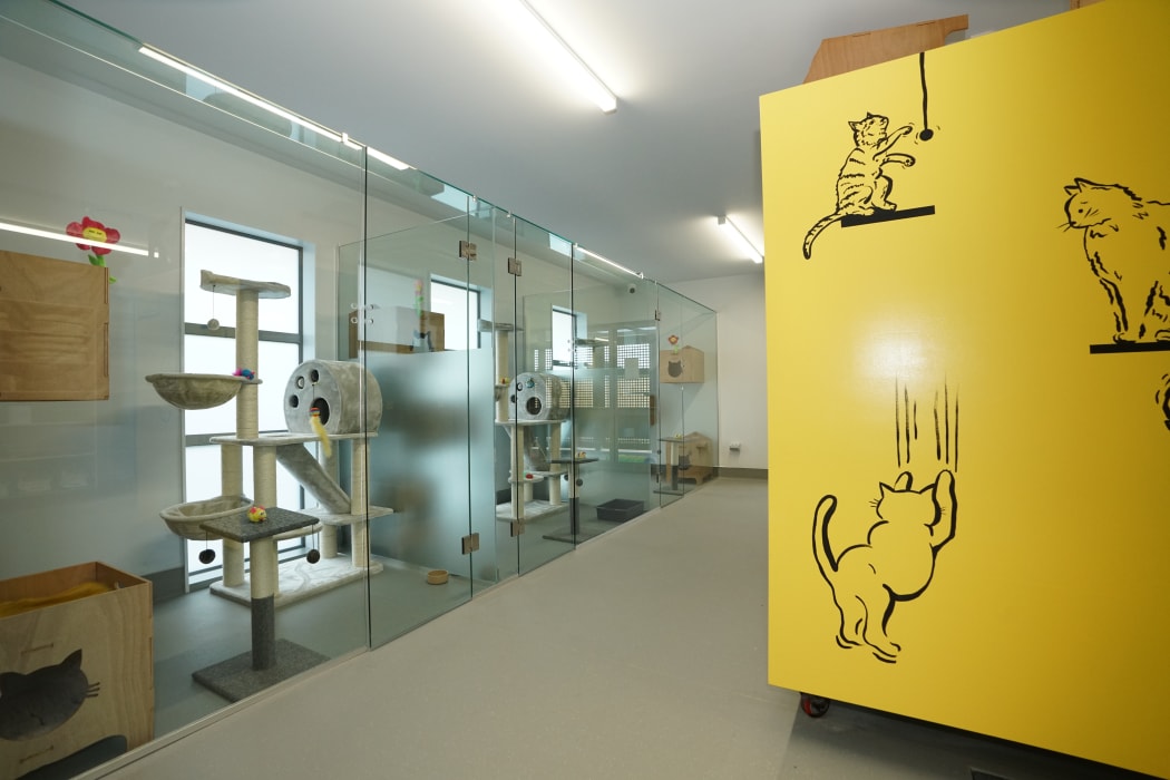 Some of the rooms at Pet Refuge