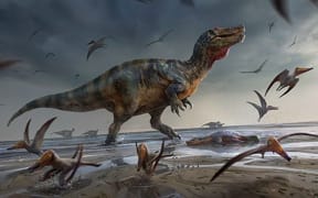 Illustration of White Rock spinosaurid by Anthony Hutchings