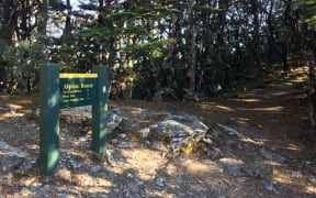 The Alpine Route through the Mt Richmond Ranges is described as an expert level, challenging back country route.