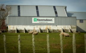 Ravensdown depot north of Foxton.