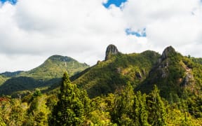 Coromandel Pinnacles at Coromandel Forest Park. Coromandel Peninsula, New Zealand.