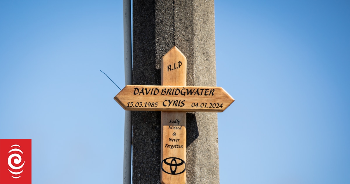 Homicide victim David Bridgwater remembered by loved ones with cricket match