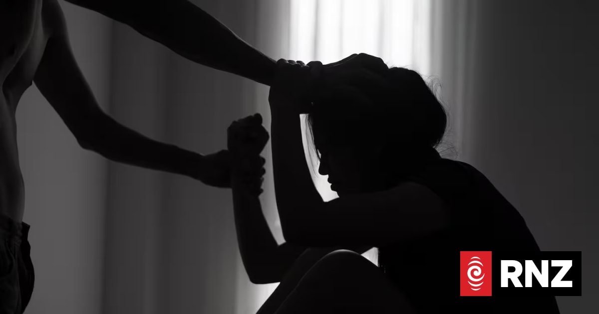 Government shelves proposed system to 'transform' responses to family violence