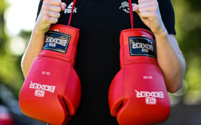 Boxing gloves
