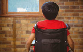 New Zealand has failed disabled children and their families, the Disability Commissioner says.