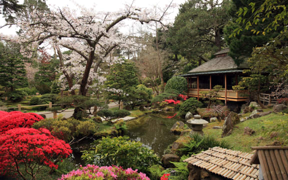 Japanese Garden